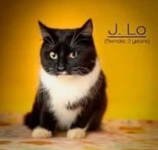 Photo of J Lo