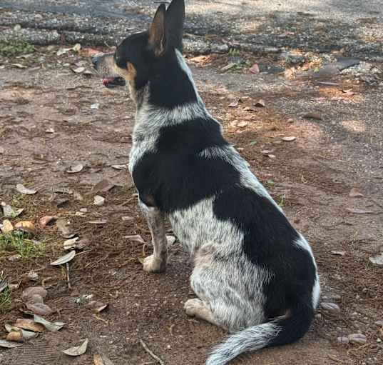 Photo of Mickey