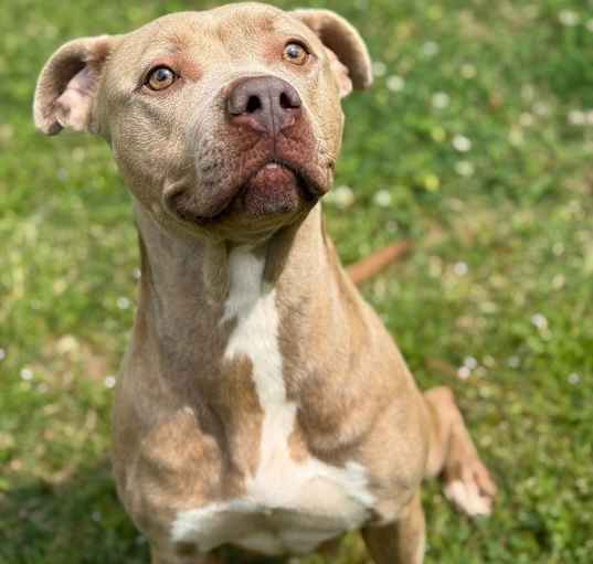 Photo of Patience (1215 s poplar)