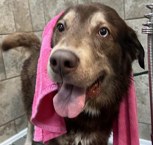 Photo of Reuben