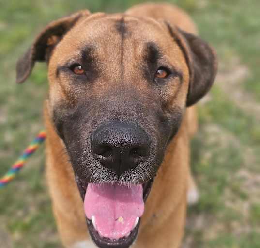 Photo of Mack