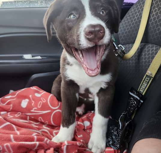 Photo of Hershey