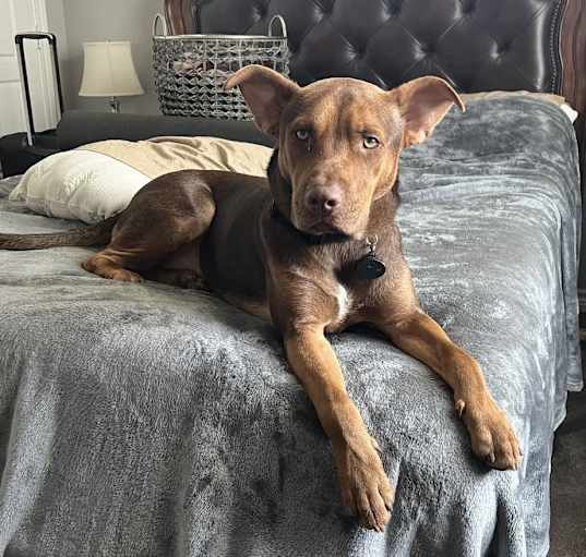 Photo of Gunther