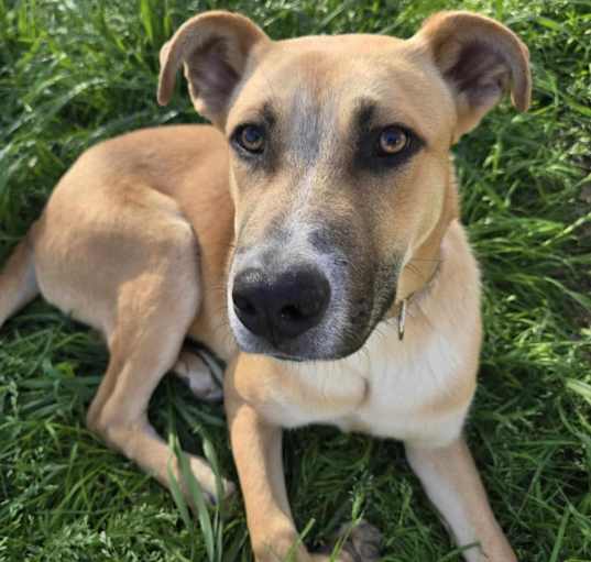 Photo of Cash