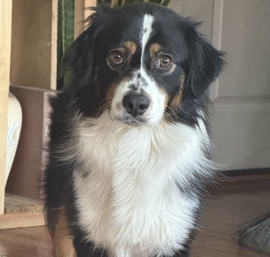 Photo of Uhtred