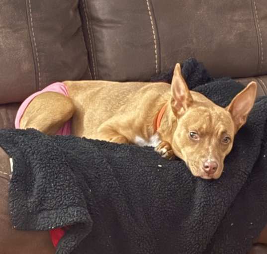 Photo of Remi
