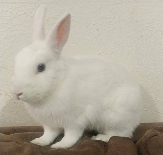 Photo of Meadow