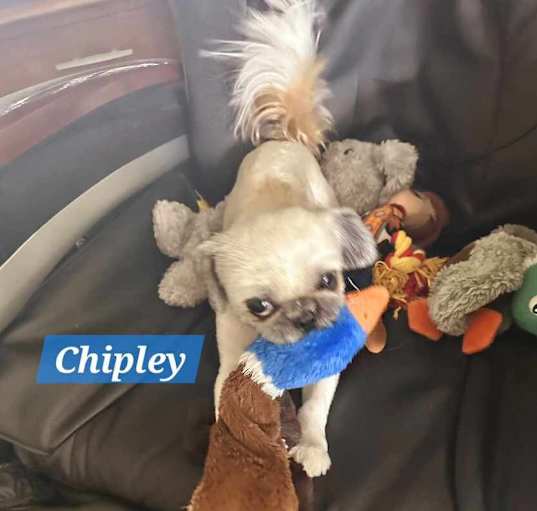 Photo of Chipley