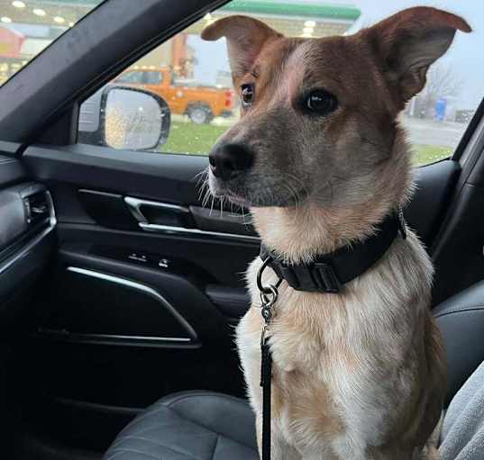 Photo of Cash