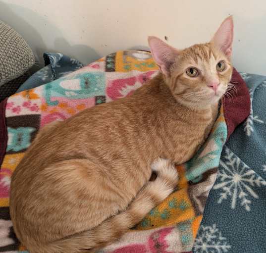 Photo of Melodie's OMalley