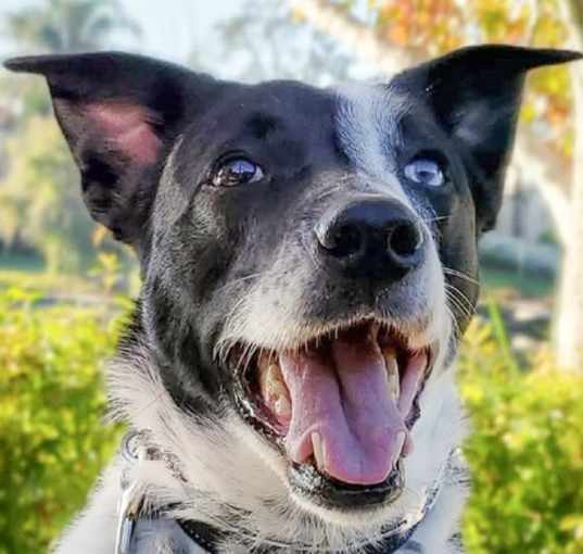 Photo of Zuko