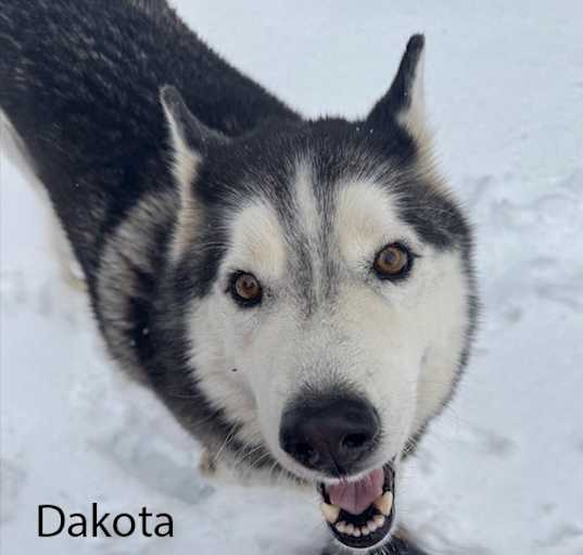 Photo of Dakota
