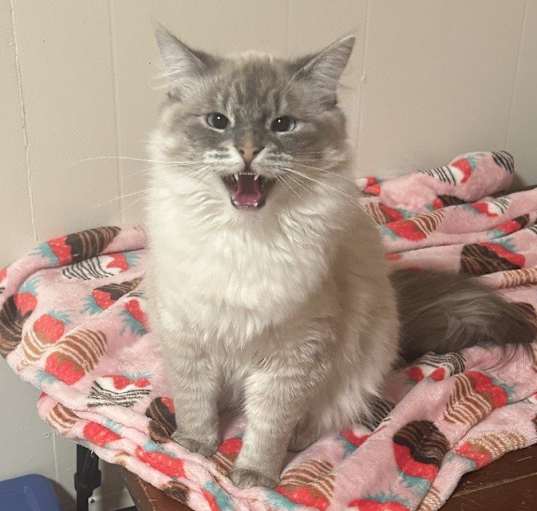 Photo of Tom