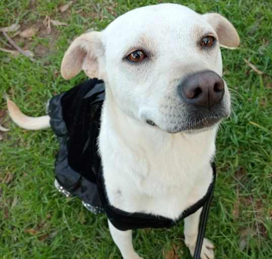 Photo of BLANCA