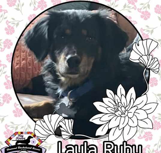 Photo of Layla Ruby