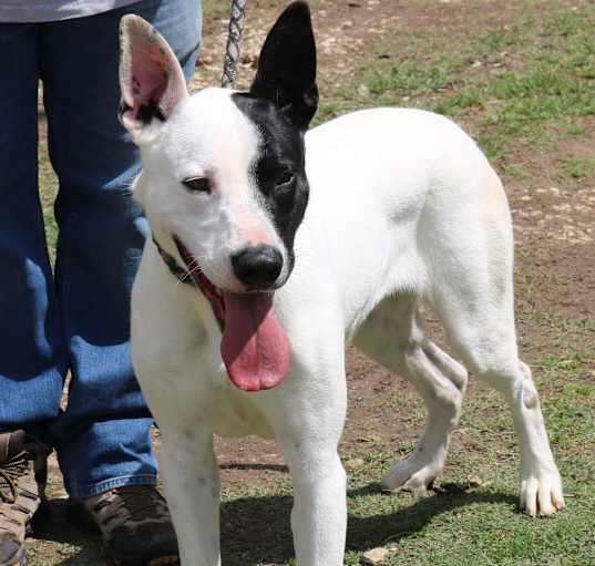Photo of Jinx