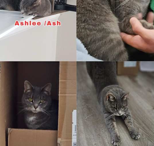 Photo of Ashlee