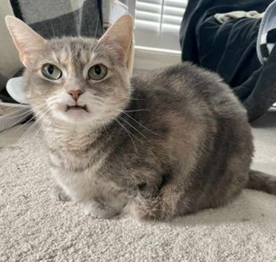 Photo of Cleopatra