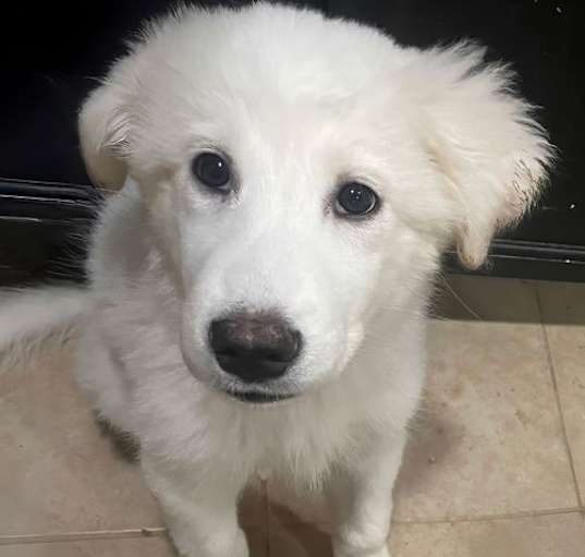 Photo of Leilani