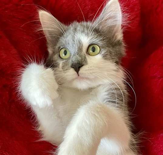 Photo of Thelma