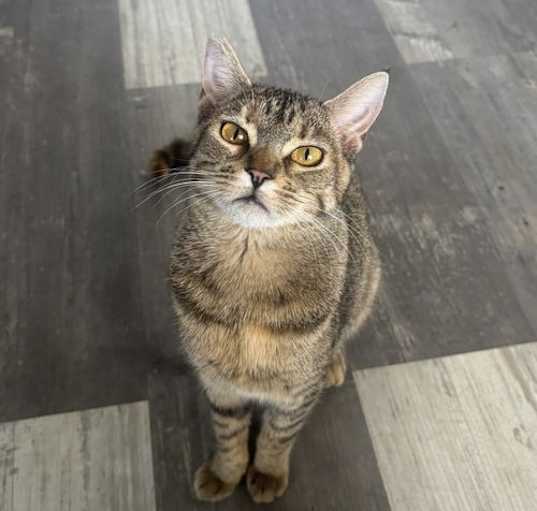 Photo of Ducky