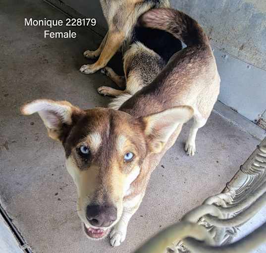 Photo of Monique