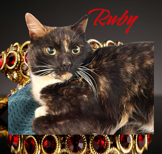 Photo of Ruby