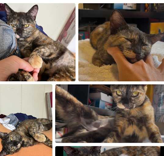 Photo of Melody & Kuromi