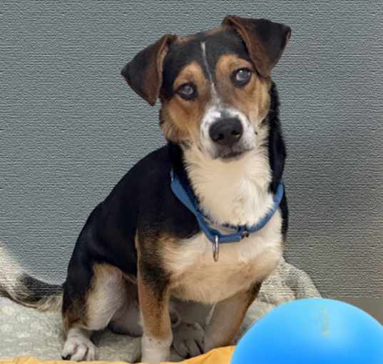 Photo of Dakota