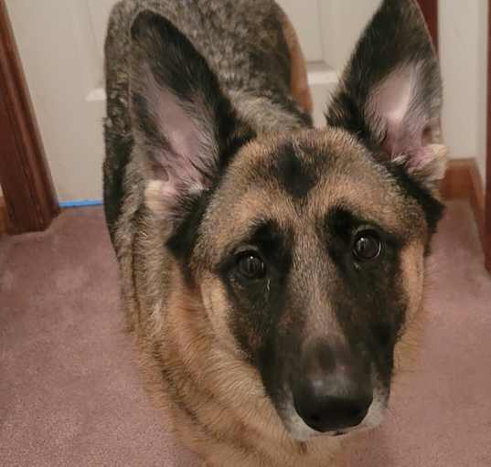 Photo of Lulu