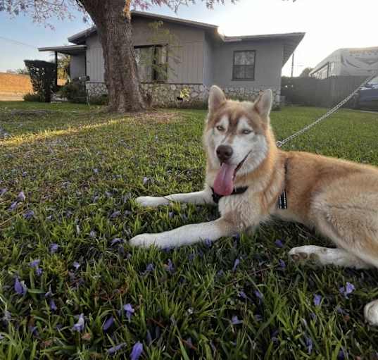 Photo of Colby