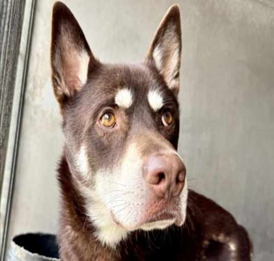Photo of OSO