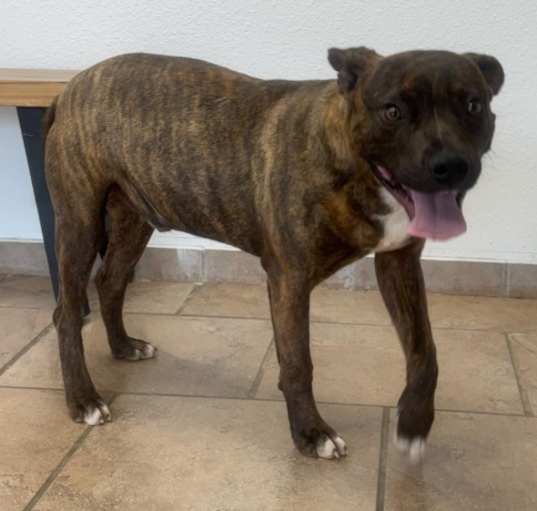 Photo of Zephyr