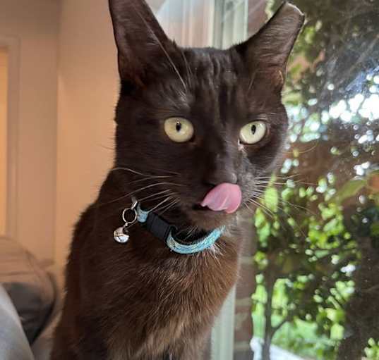 Photo of Ruby