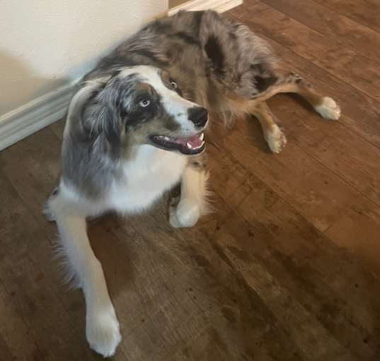 Photo of Maggie