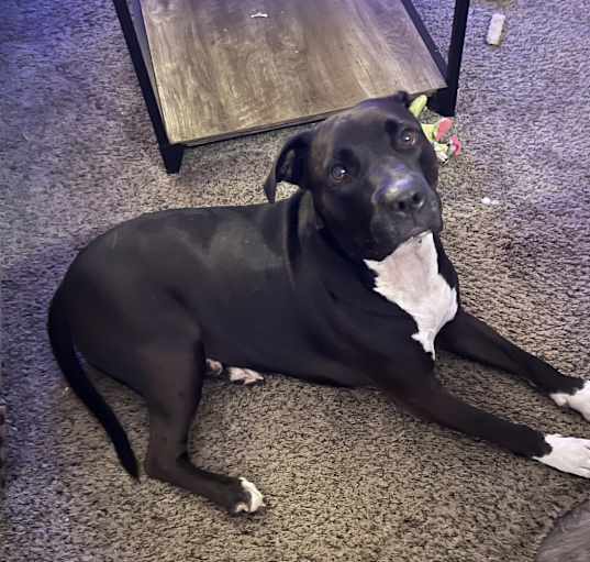 Photo of Flex
