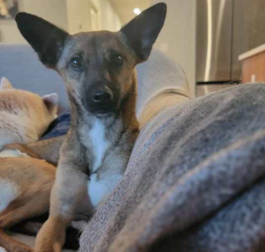 Photo of Mei Mei
