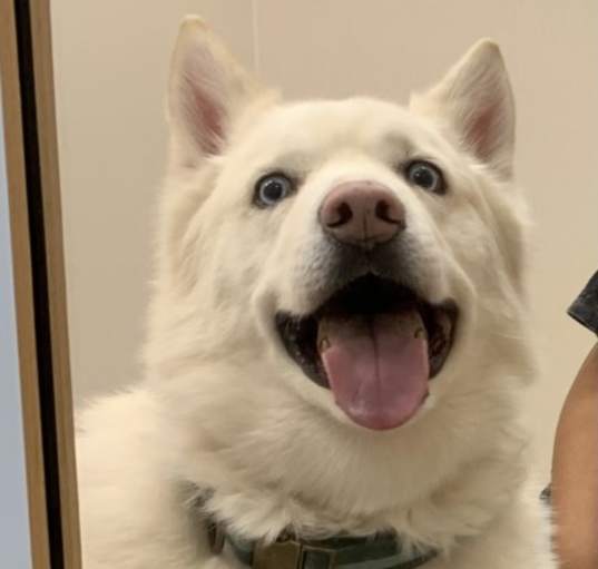 Photo of Ghost