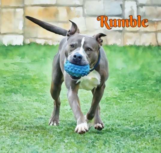 Photo of Rumble