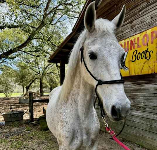 Photo of Cash