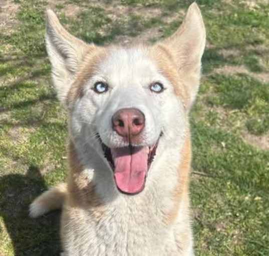 Photo of Rhea