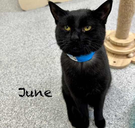 Photo of June