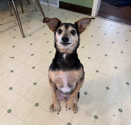 Photo of Cisco