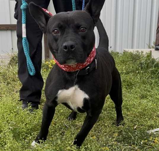 Photo of TALLY