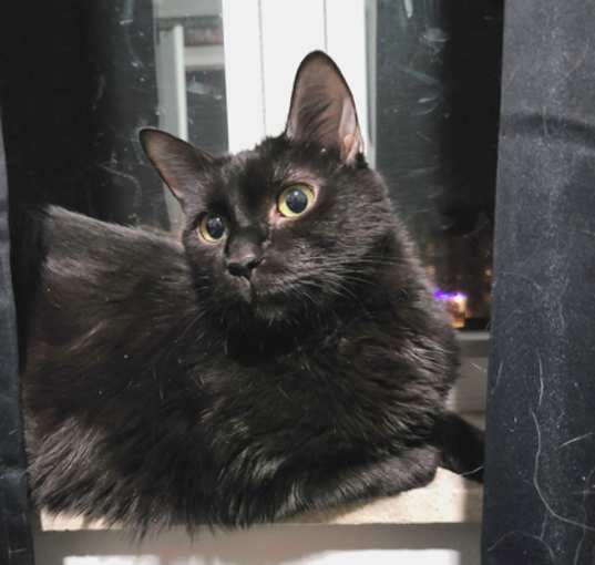Photo of Payton