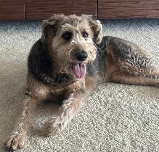 Photo of Ajax
