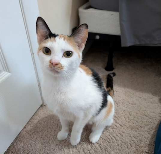 Photo of Cali