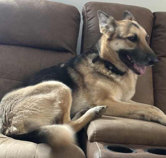 Photo of Trudy