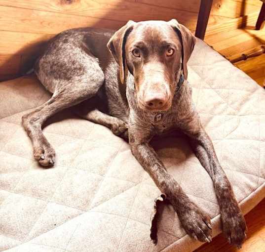 Photo of Eli