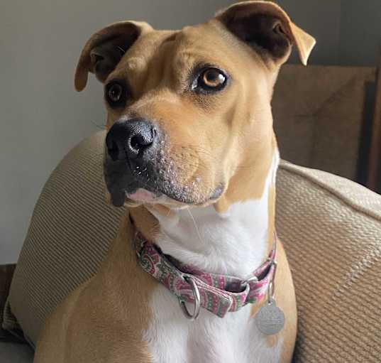 Photo of Noelle